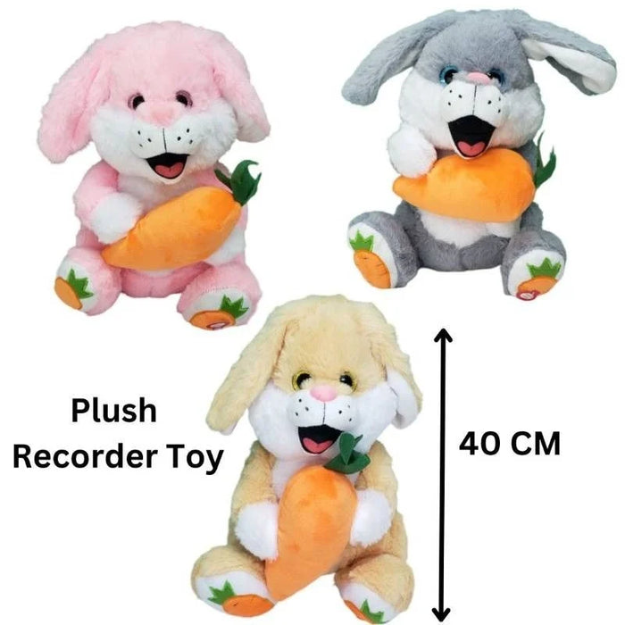 Plush Recorder Soft Stuff Rabbit