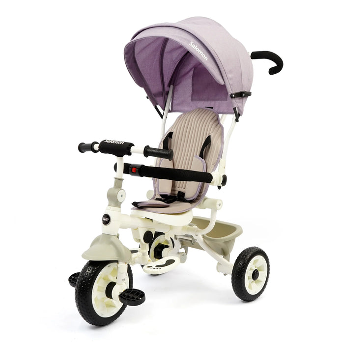Junior Kids Tricycles with Handle