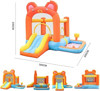 Doctor Dolphin Bear Shape Jumping Castle