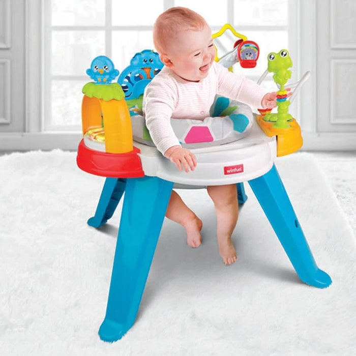 2 in 1 Centro Baby Booster Seat