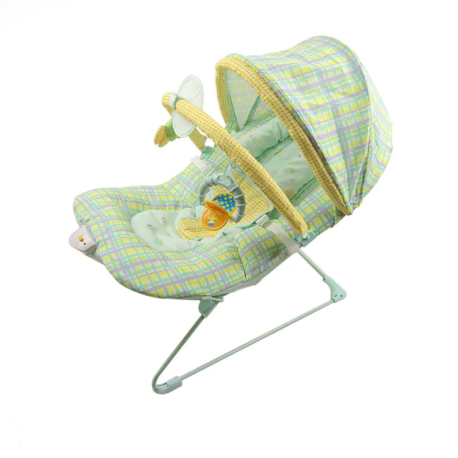 Soothing Vibrating Baby Bouncer