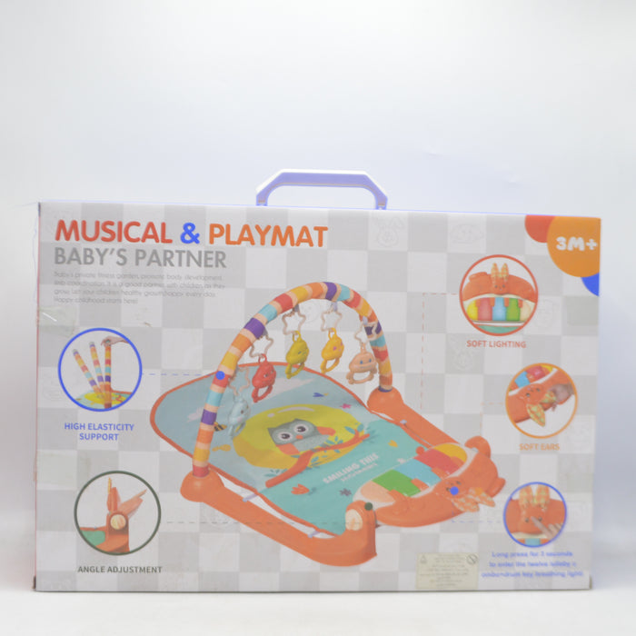 2 in 1 Musical Piano & Fitness Frame