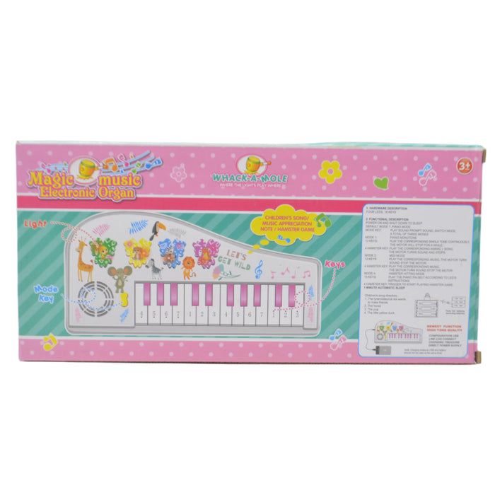 Animal Theme Electric Piano with Light & Sound