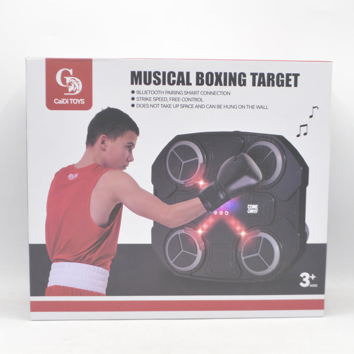 Musical Boxing Target with Light