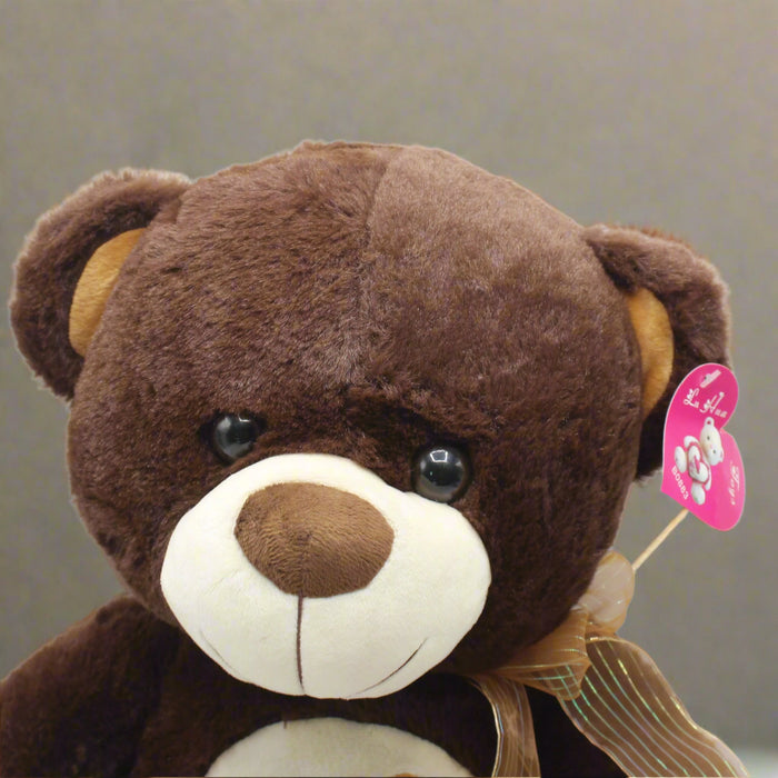 Brown Lovely Teddy Bear
