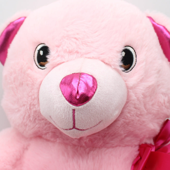 Soft Hearts Teddy Bear for Kids