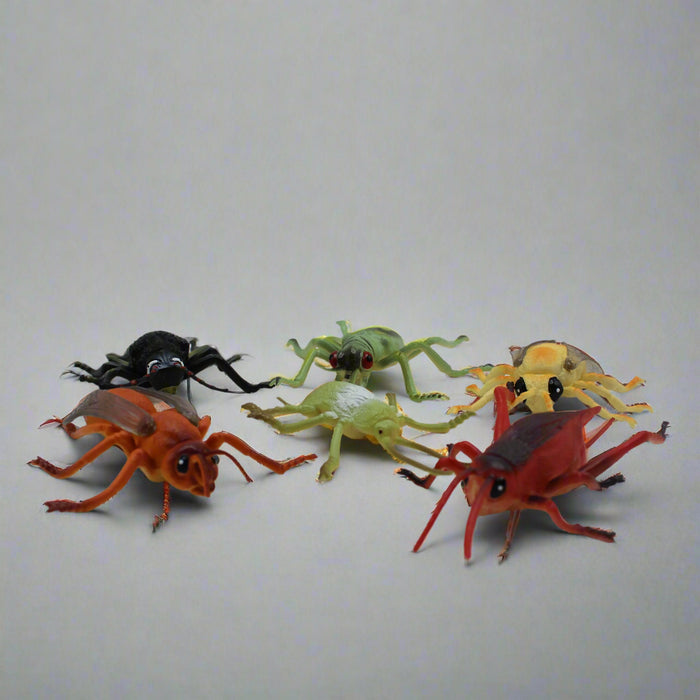 Reptile Insects Pack of 6