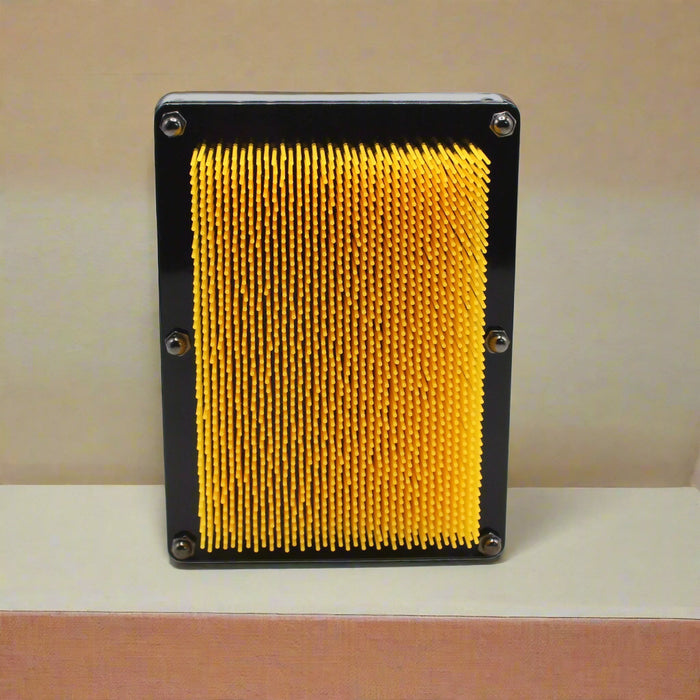 3 Dimensional Pin Sculpture