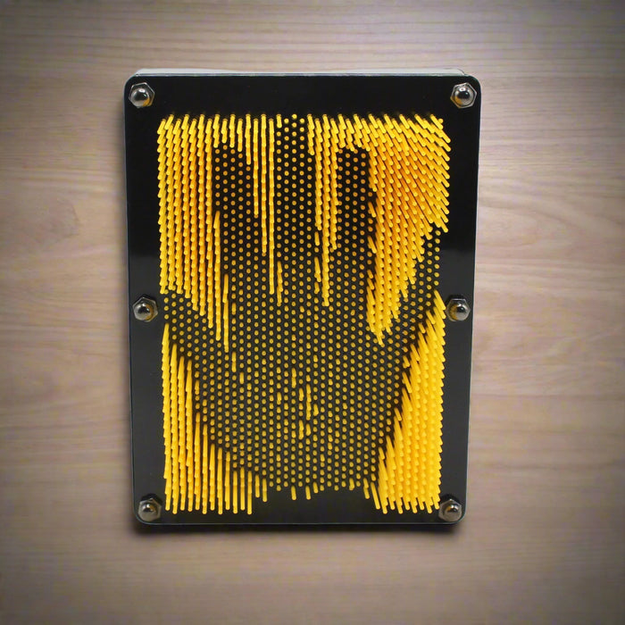 3 Dimensional Pin Sculpture