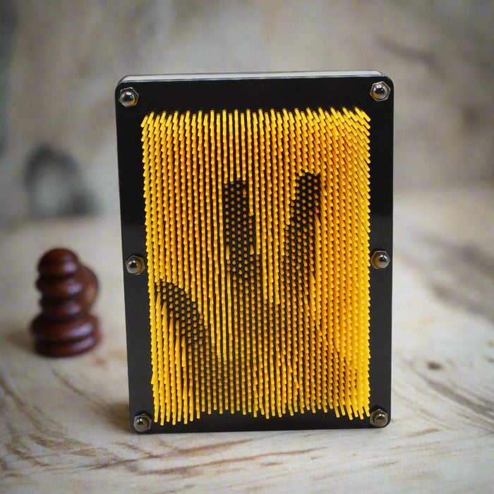 3 Dimensional Pin Sculpture