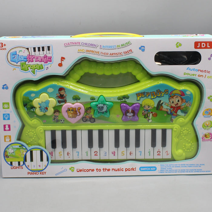Princess  Electronic Piano Key with Light & Sound