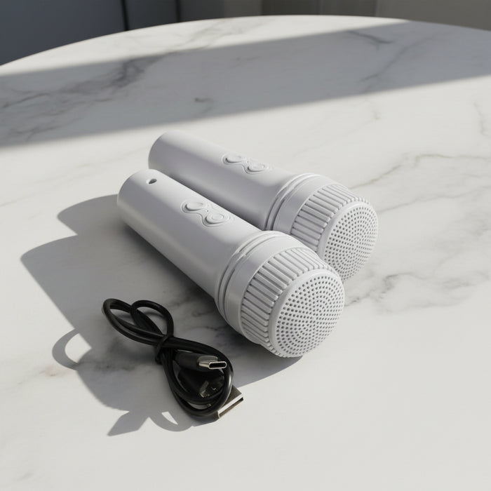 Karaoke Speaker with 2 Wireless Microphone