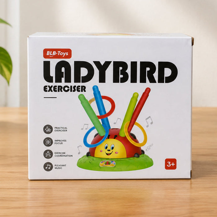 3-in-1  Lady Bird Exerciser Toy