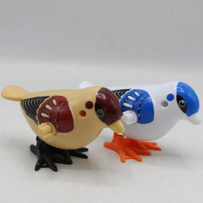 Cute Friction Sparrow