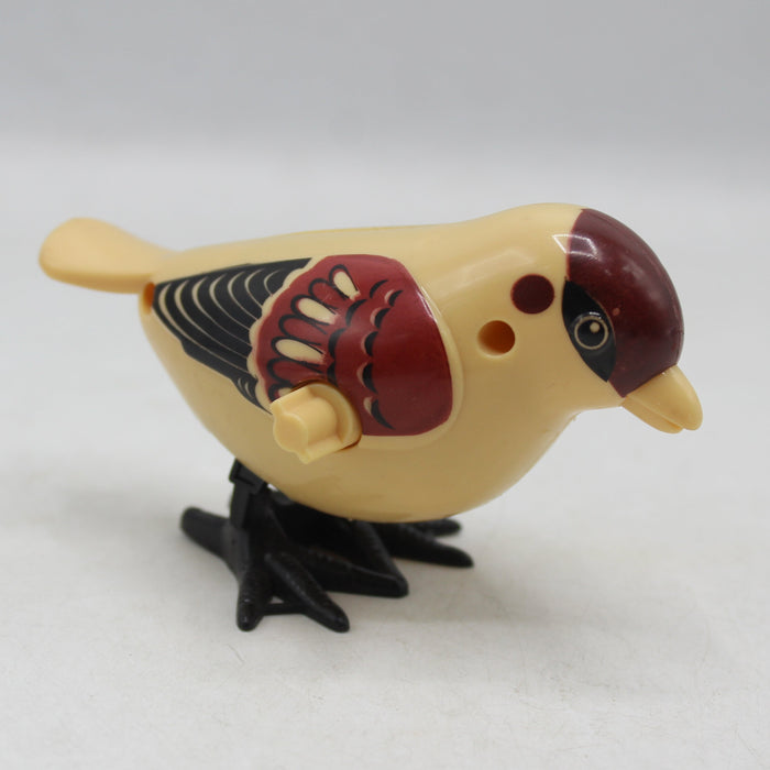 Cute Friction Sparrow