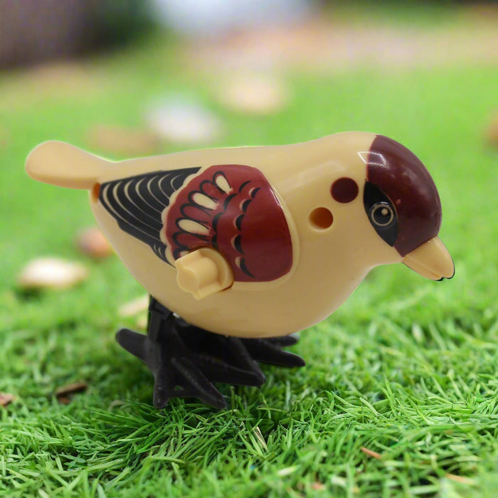 Cute Friction Sparrow