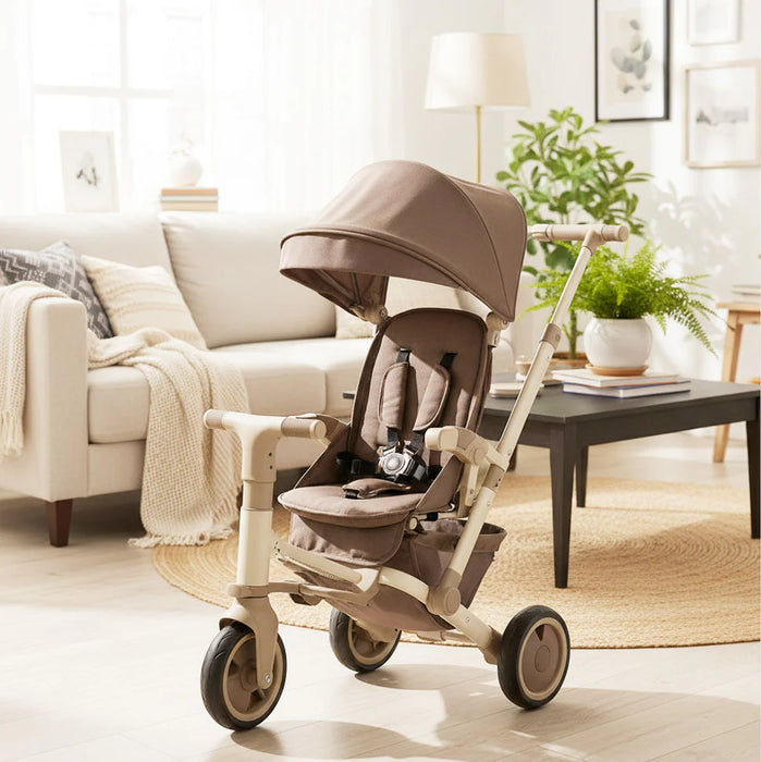 Multi-Functional Push Tricycle and Canopy