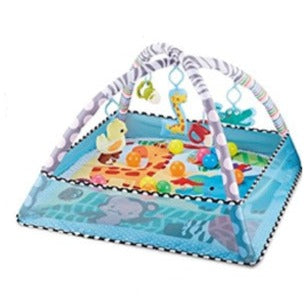 2 in 1 Play mat & Gym for Baby