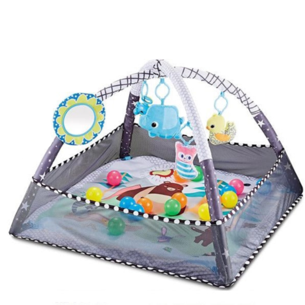 2 in 1 Play mat & Gym for Baby