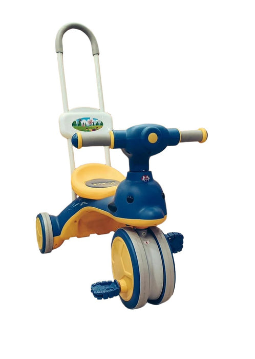 Dolphin Musical Tricycle with Handle