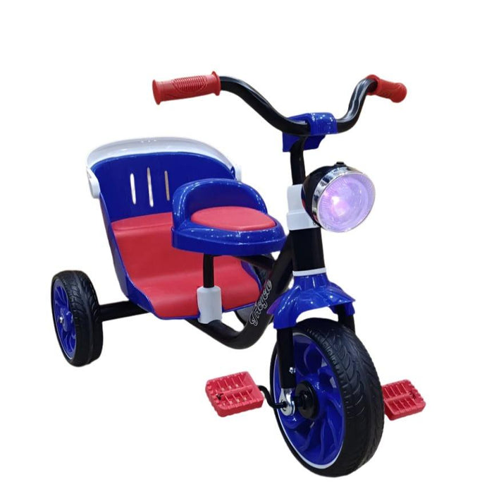 Junior Tricycle For Two Kids