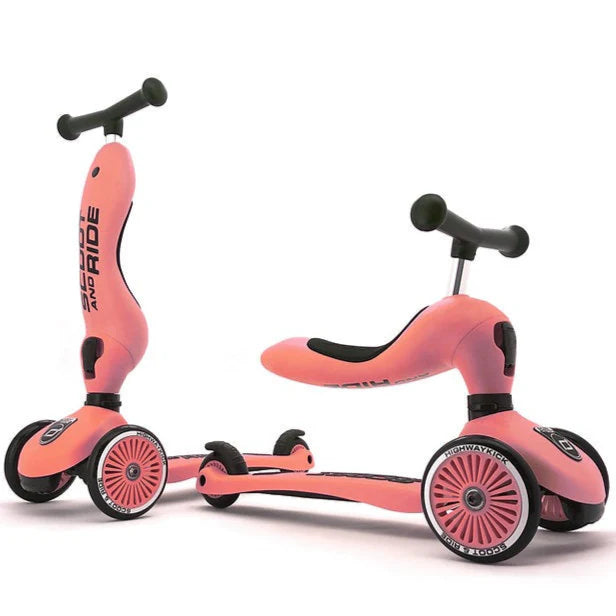 2-in-1 Kids Ride On & Stand Scootie