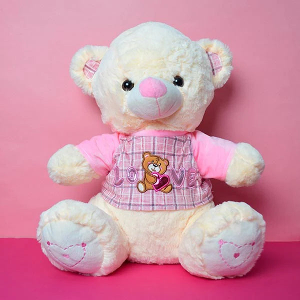 Crazy Loves Soft Plush Teddy