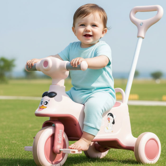 2 in 1 Cartoon Theme Kids Tricycle