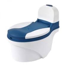 Comfortable Toddler Potty Seat