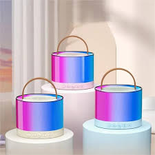 Wireless Dual Microphone and Bluetooth Speaker