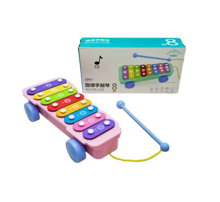 Musical Baby Knocking Xylophone