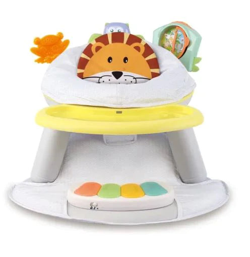 Baby Activity High Chair