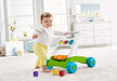 Fisher Price FYK65 Busy Walker Activity Multi-Color