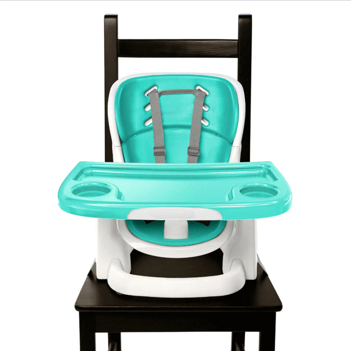 Ingenuity Multi Function Booster Seat