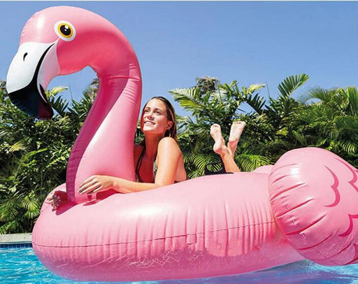 Intex 57558 Flamingo Inflatable Ride-On Swim Pool Float in Pakistan