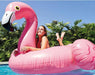 Intex 57558 Flamingo Inflatable Ride-On Swim Pool Float in Pakistan