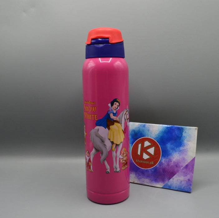 Disney Water Bottle Assorted