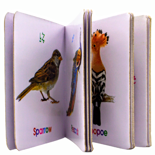 Junior Mini Birds Reading Book