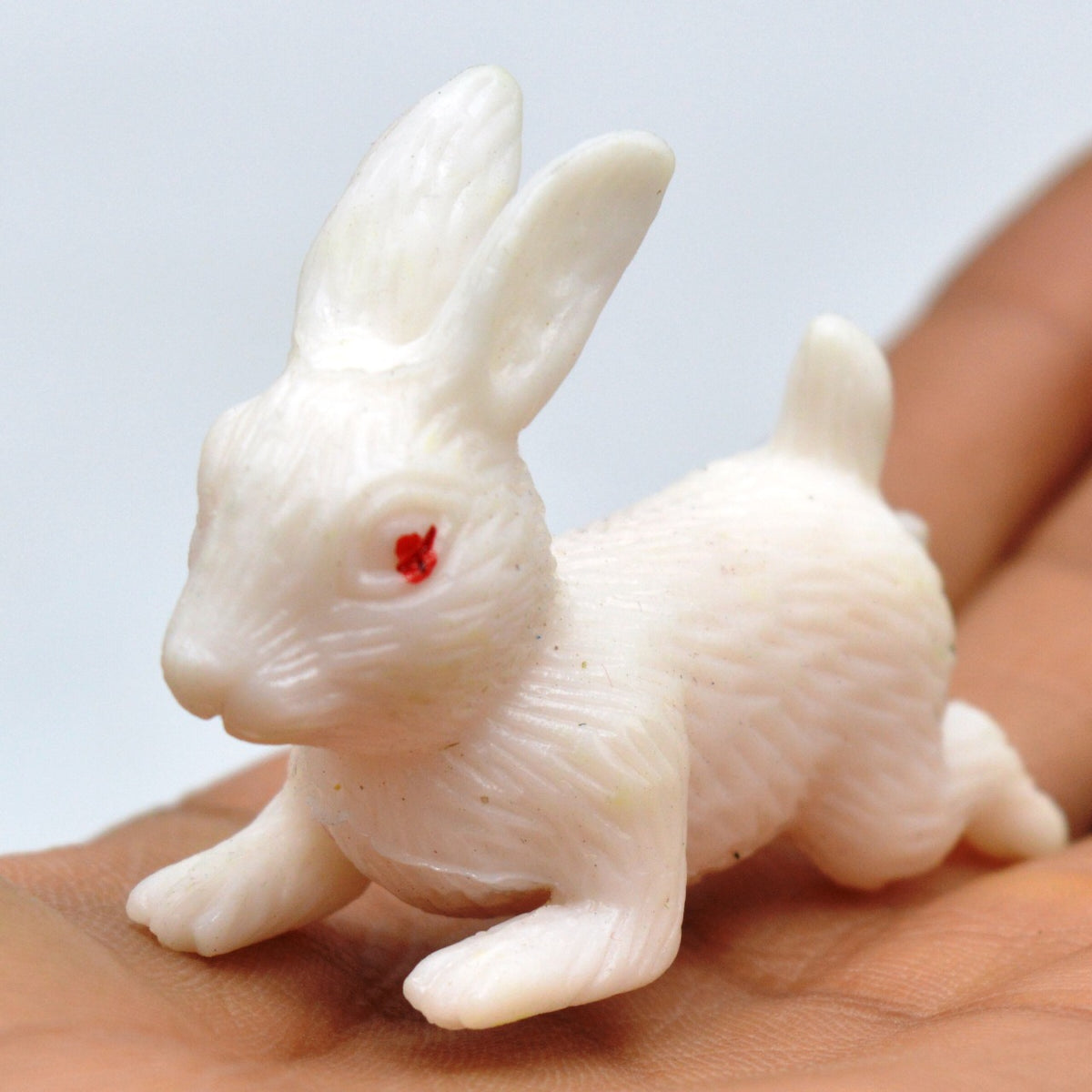 Buy Realistic Rubber Rabbit Toys Online in Pakistan — Khanaan.pk