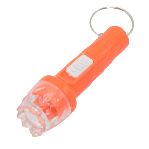Mini Portable Torch LED Light Keychain